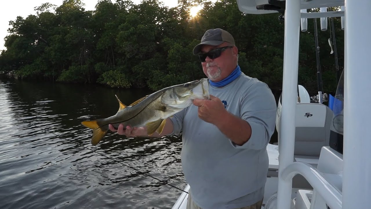 Snook and Grouper fishing inside Tampa Bay