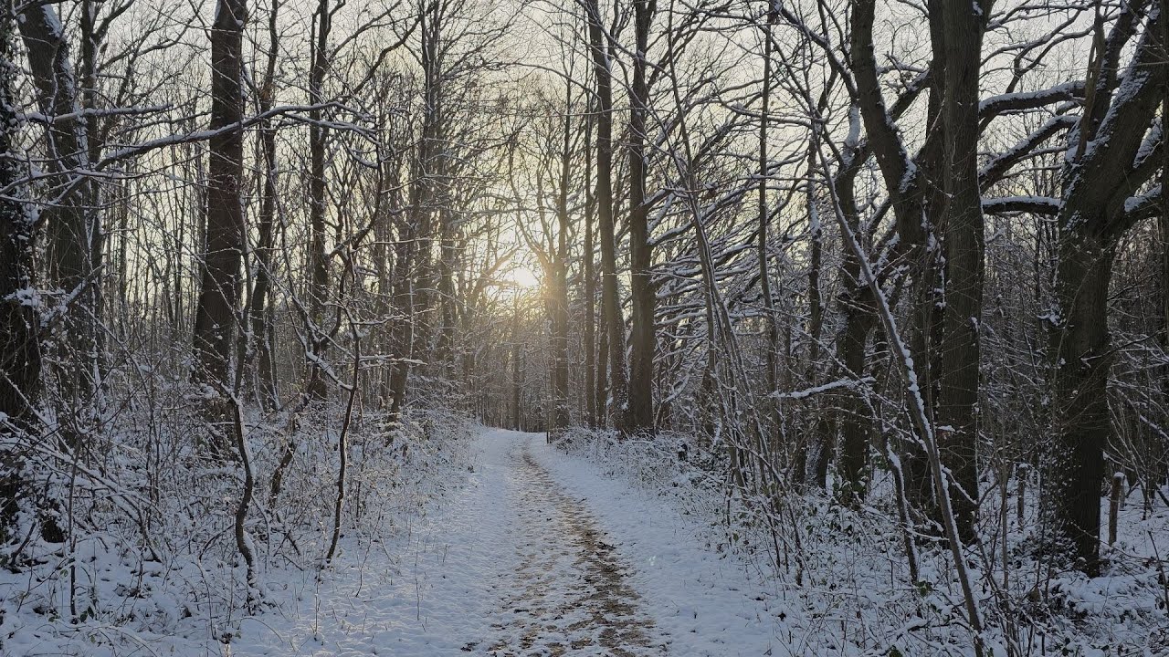 Wandeling de Dellen Maastricht 4-1-2026 | ZENTRACX 2️⃣