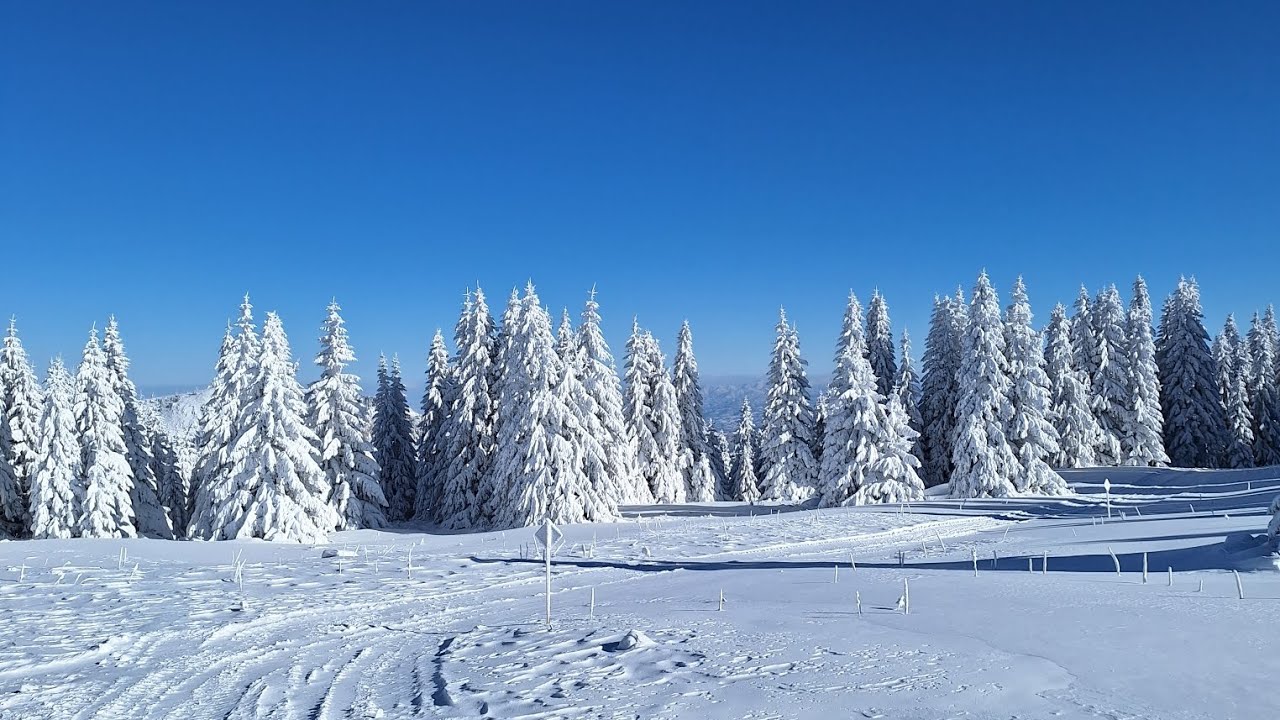 Kopaonik 2026 Prvo skijanje (Jaram staza 11)