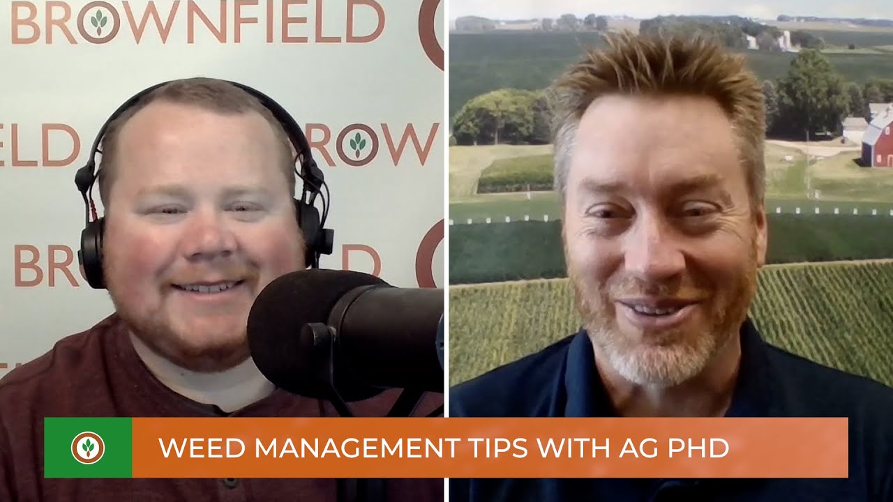 Weed management tips with Ag PhD&rsquo;s Darren Hefty