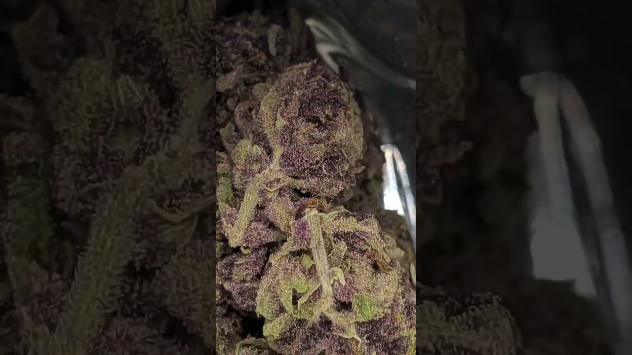 Tropicana Cherry from TSB!!💰 Code BlazeHydro saves you everytime! 💰full review up! like,comment sub