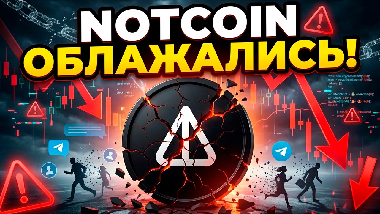 Is NotCoin on the Brink? Why Are Users Leaving in Masses?