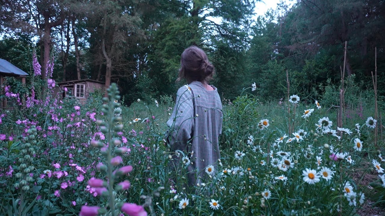 Alone on our Off-Grid Homestead | Midsummer Musings