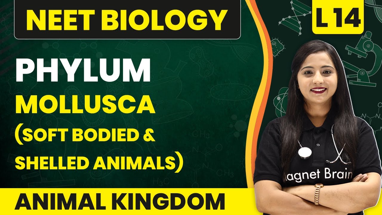 Phylum - Mollusca (Soft Bodied & Shelled Animals) | Animal Kingdom - L14 | NEET Biology
