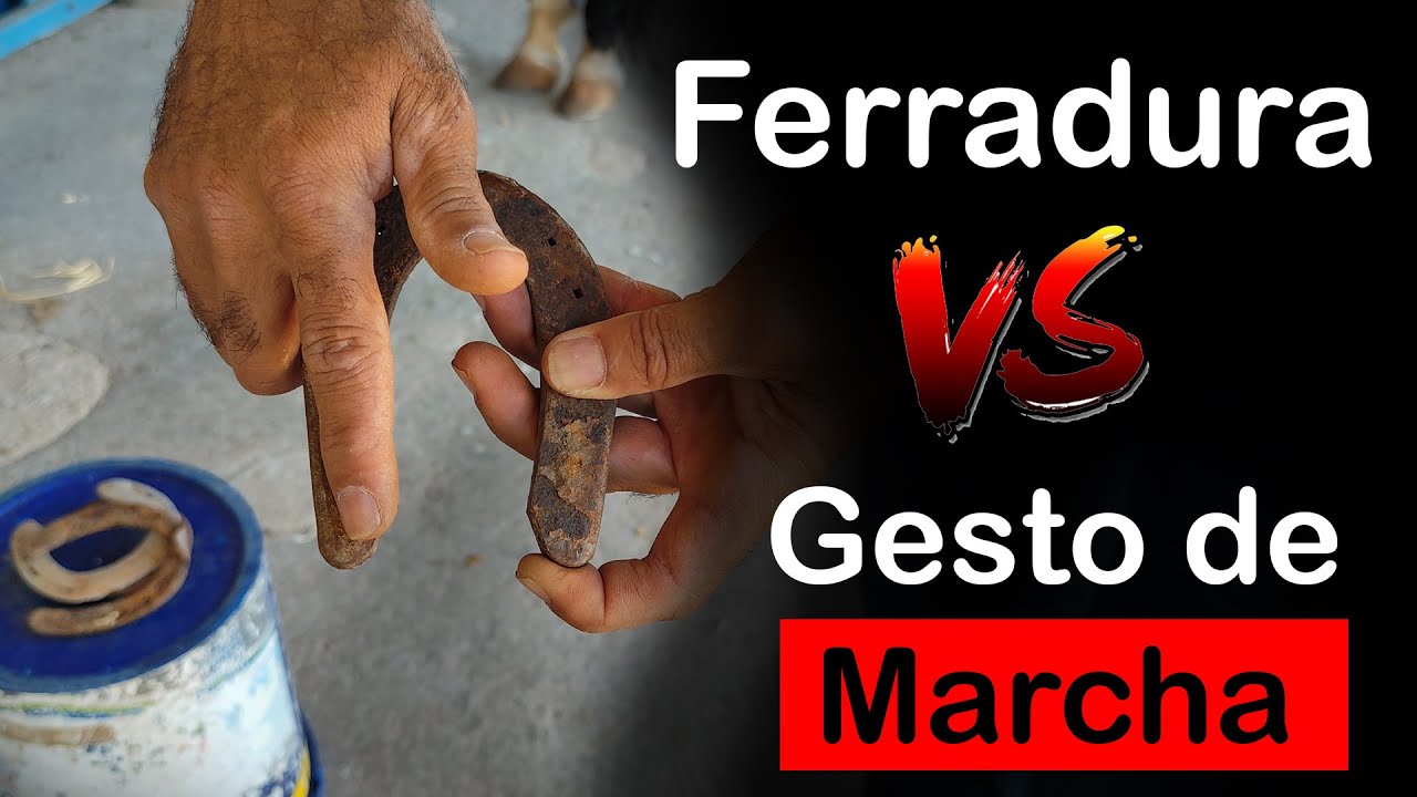 Será que a ferradura pode mudar o gesto de marcha do seu cavalo? Descubra agora!