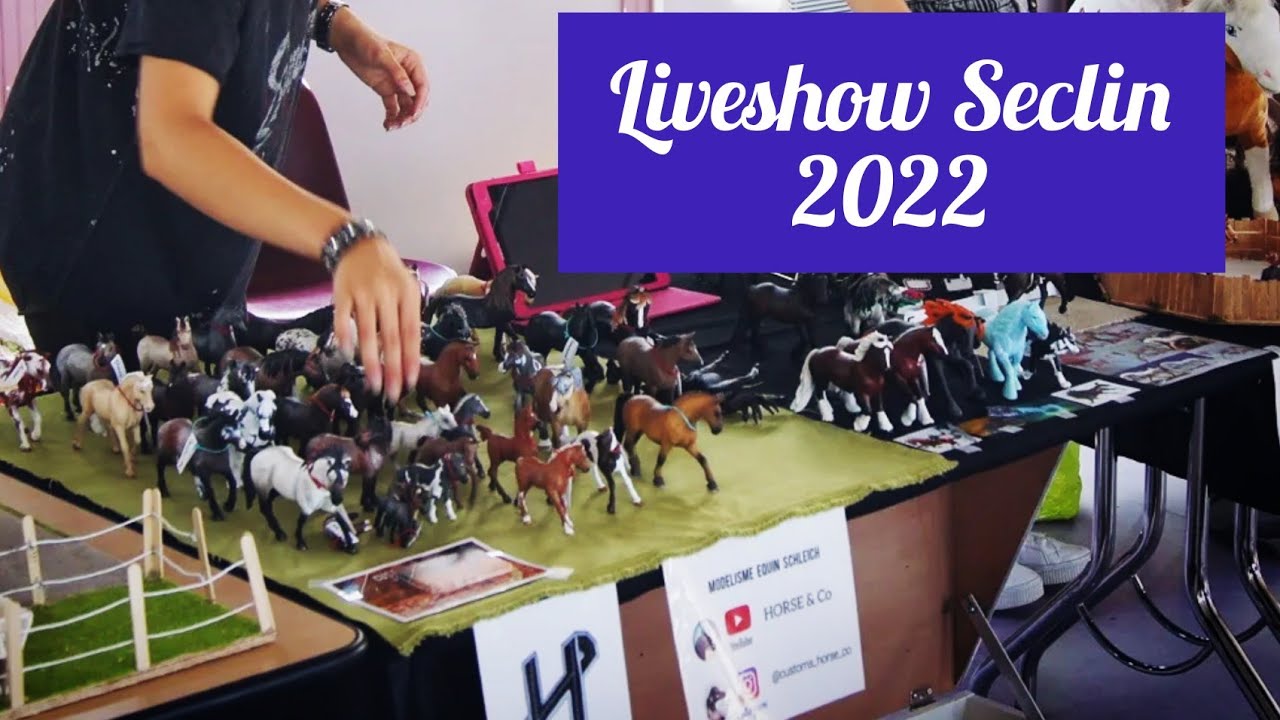 ~Vlog~ Le Liveshow de Seclin 2022