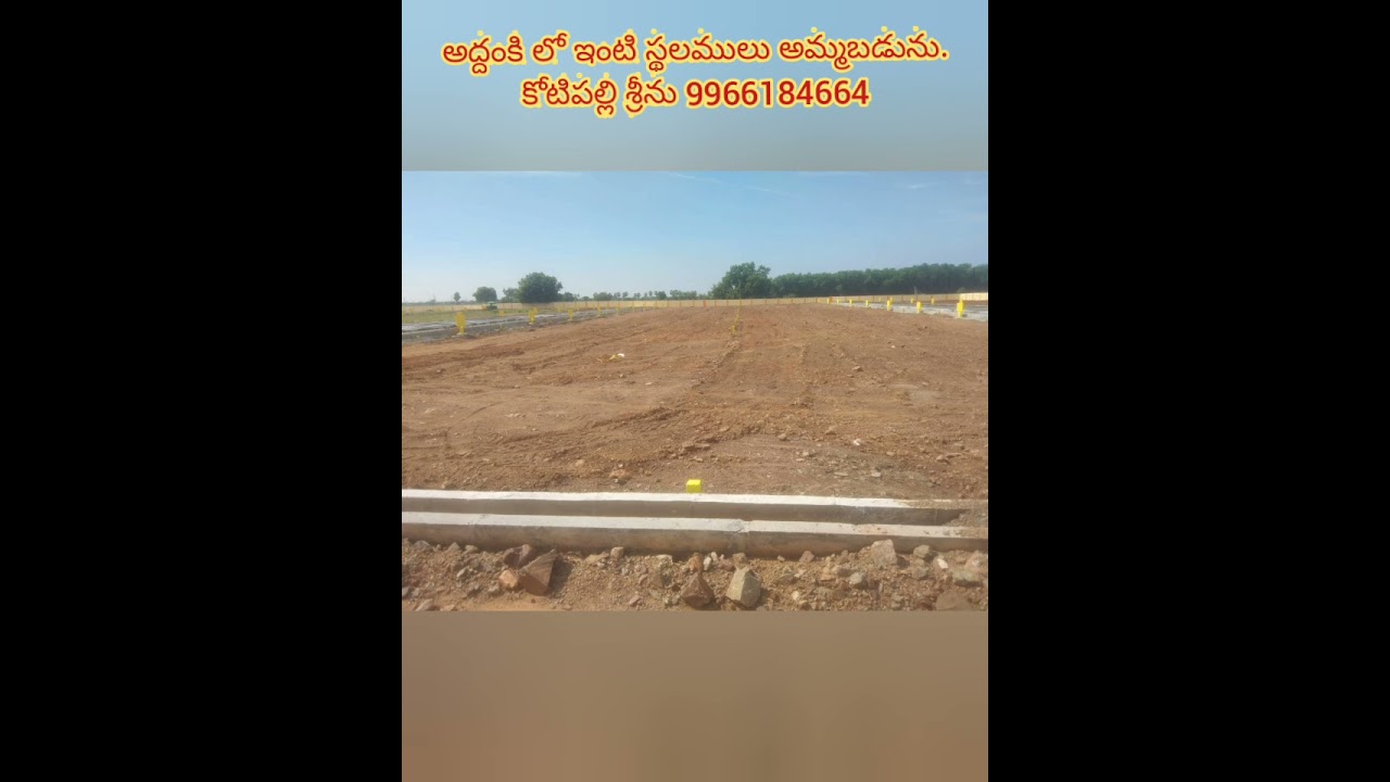 plots sale in addanki. Hyderabad road. kotipalli Srinu 9966184664