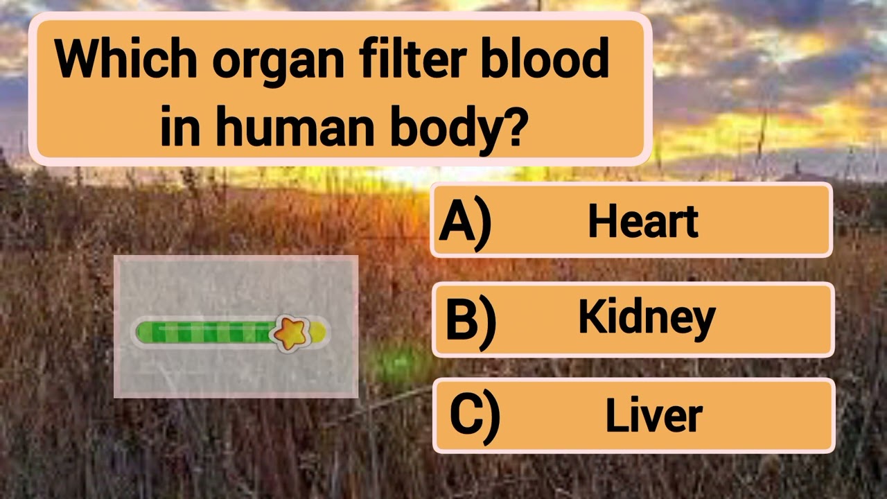 Did you get 16/16? General knowledge questions #quiz # quiz time #long #quiz #generalknowledge 
