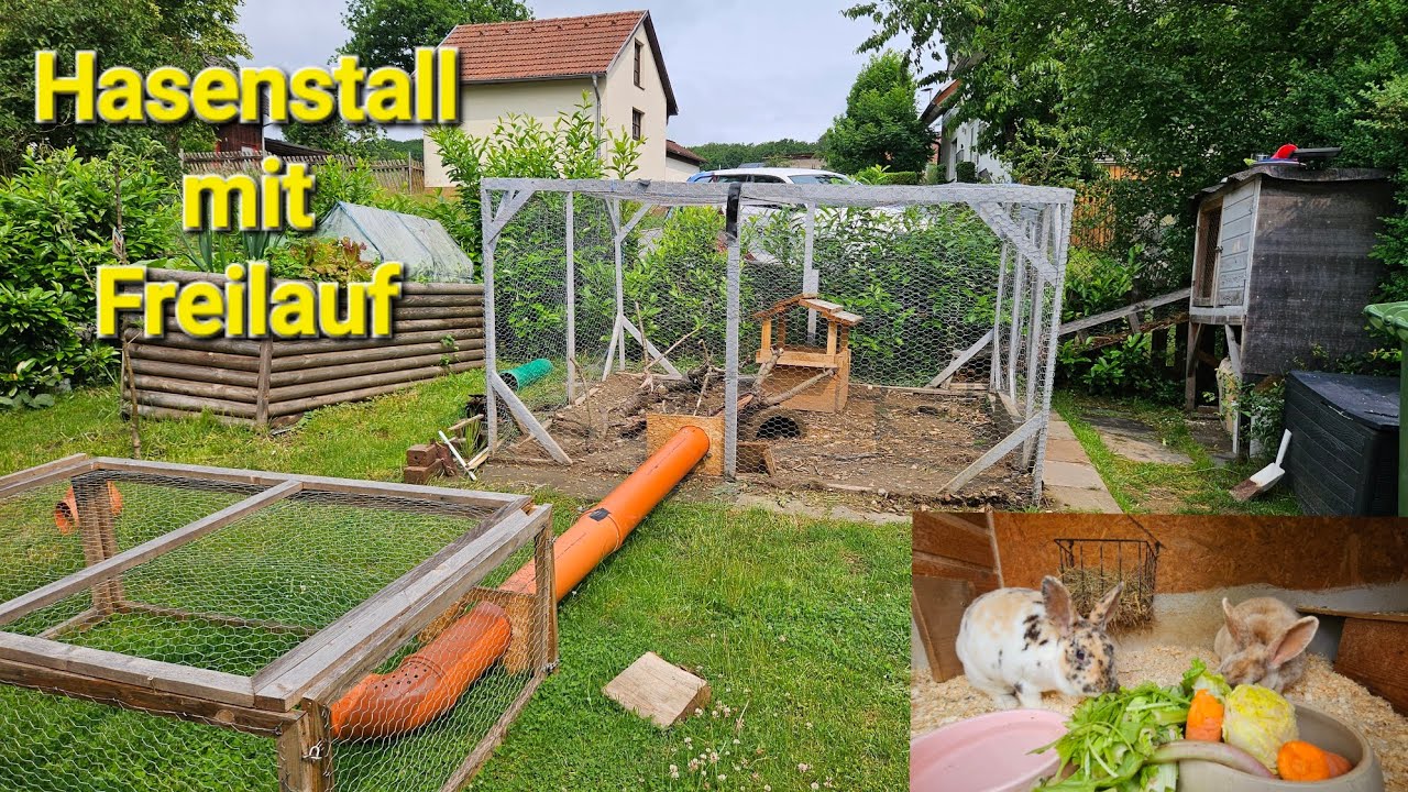 Hasenstall mit Freilauf Gehege kosten Kaninchen f&uuml;ttern