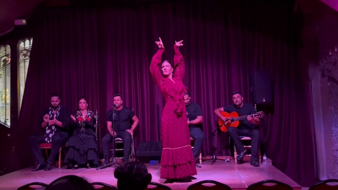 Flamenco Show at Palau Dalmases part 1