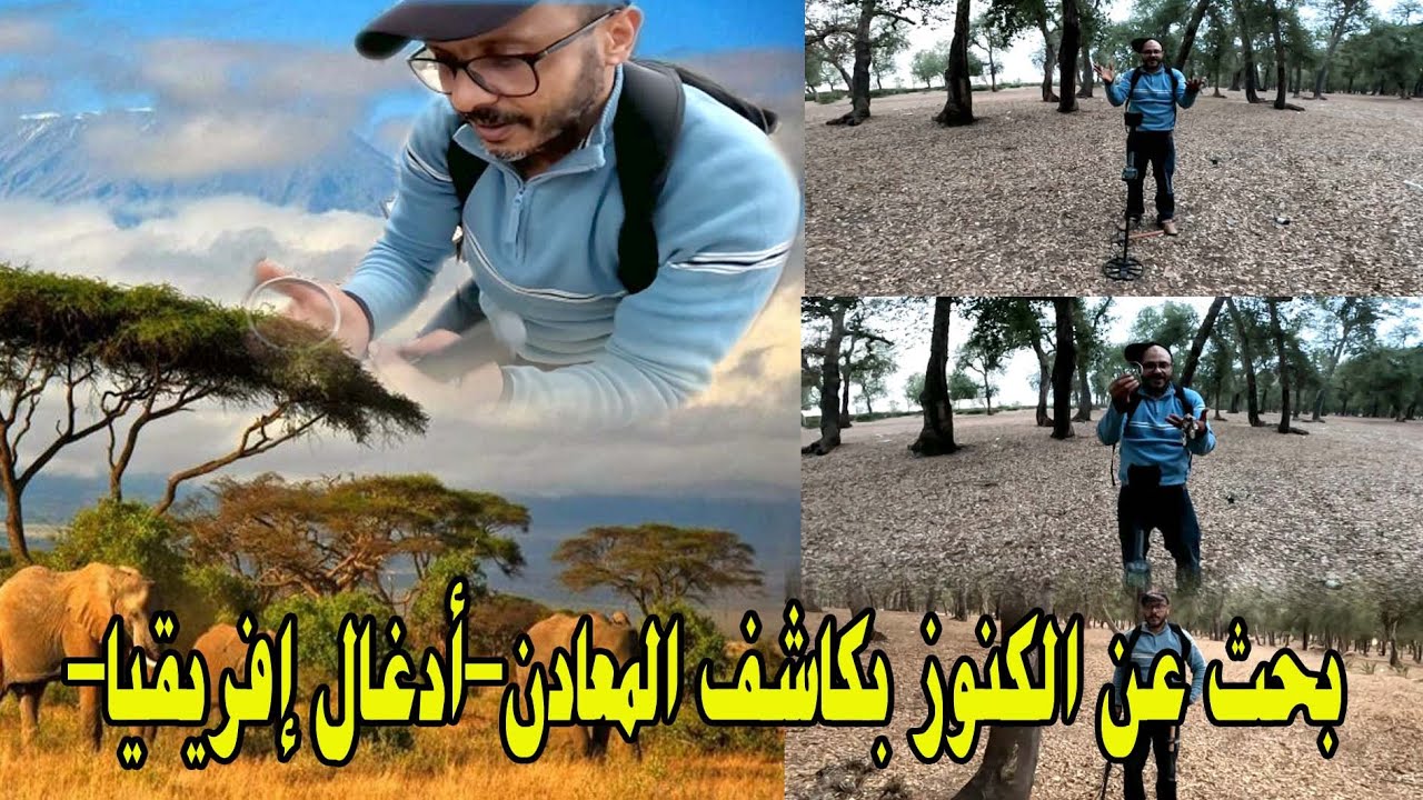 بحث عن الكنوز بكاشف المعادن# رحلة_البحث_عن_الكنز #deteccion_metalica # أدغال إفريقيا#