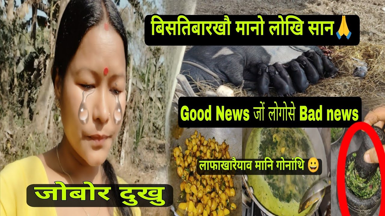 आयै खाफाल बिसतिबारावनो Good News आरो Bad news 😭लाफा खारैयाव मानि गोनांथि 😀
