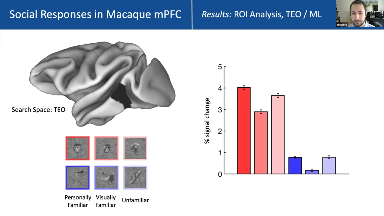 Talk: Social memory responses in macaque medial prefrontal cortex