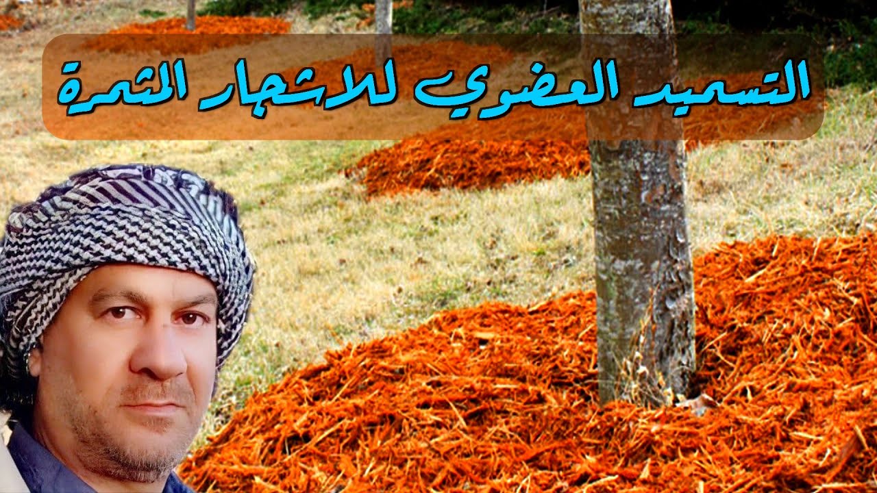 التسميد العضوي للاشجار المثمرة في شهر (11)نوفمبر