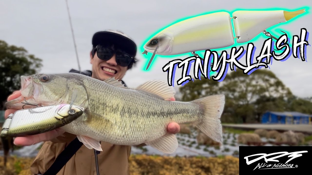 真冬のタイニークラッシュ縛りしたらヤバすぎたw【バス釣り】