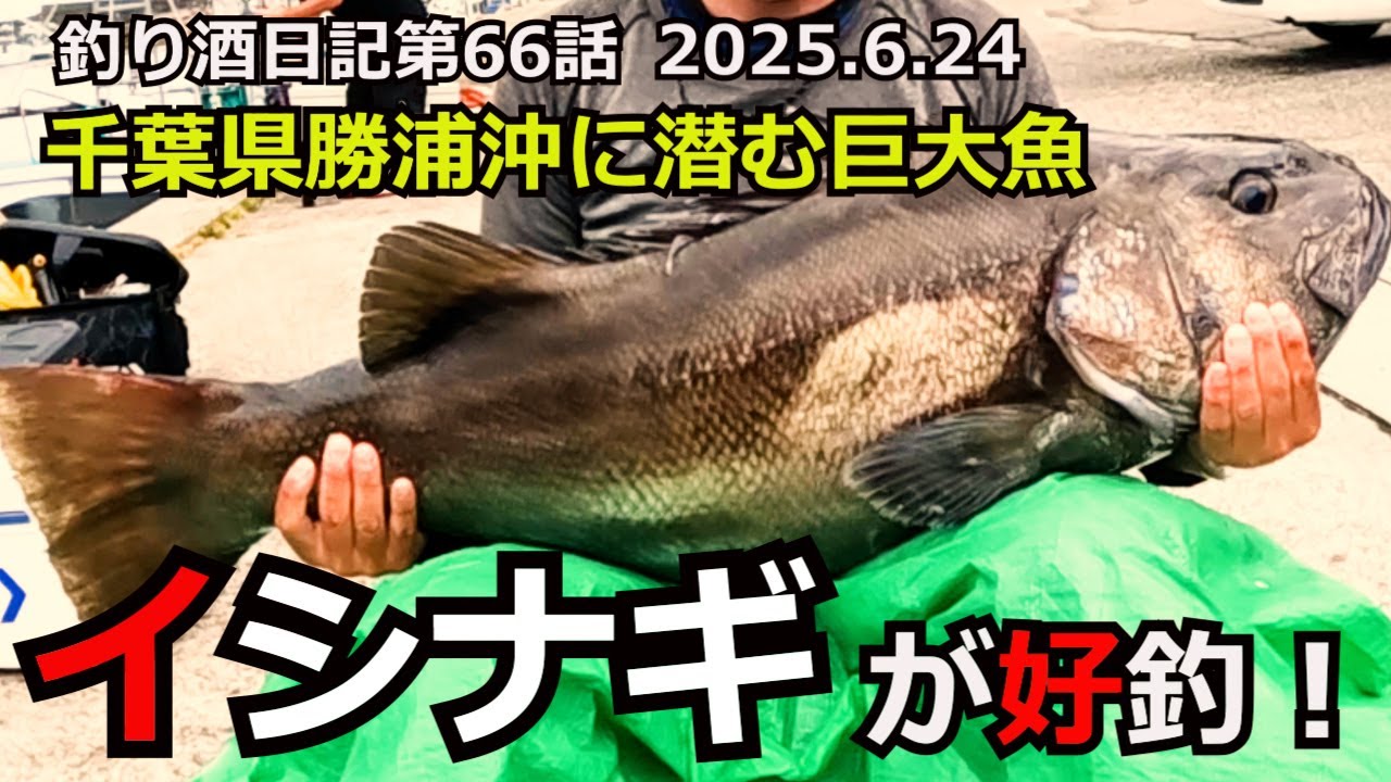 【外房イシナギ好調！】巨大魚を釣って食す！三流釣師が挑む勝浦沖編