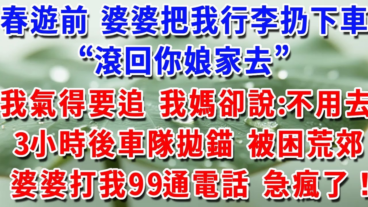 春遊前 婆婆把我行李扔下車，“滾回你娘家去”我氣得要追 我媽卻說:不用去！3小時後車隊拋錨 被困荒郊婆婆打我99通電話 急瘋了！#一帆說故事 #為人處世 #生活經驗 #情感 #故事 #彩礼