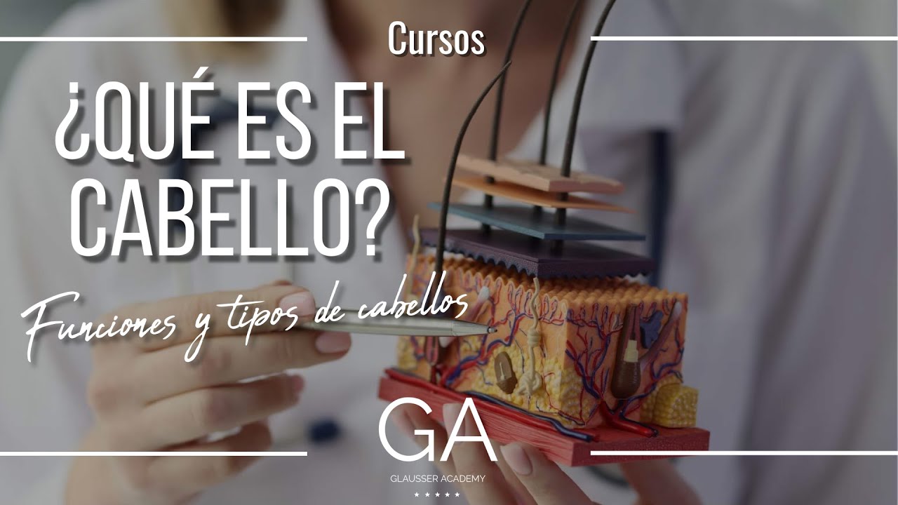 ¿Qué es el cabello? Funciones y tipos de cabellos