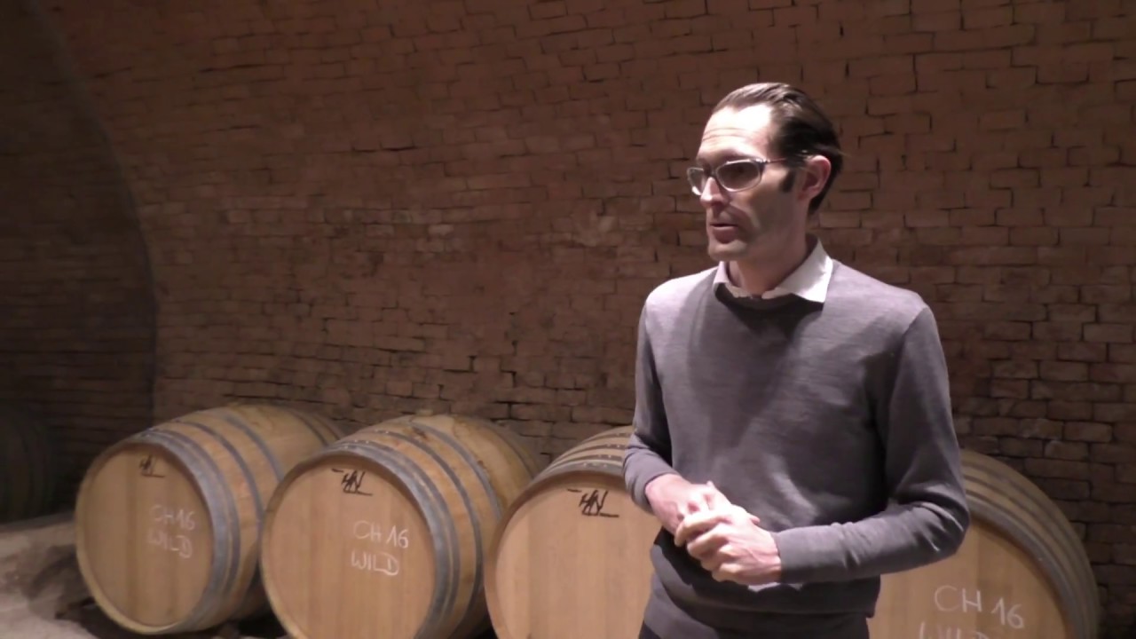 The Wieninger winery at Amador’s Wirtshaus