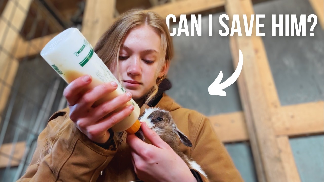 First Kidding of the Year! | But things didn’t go as Planned…