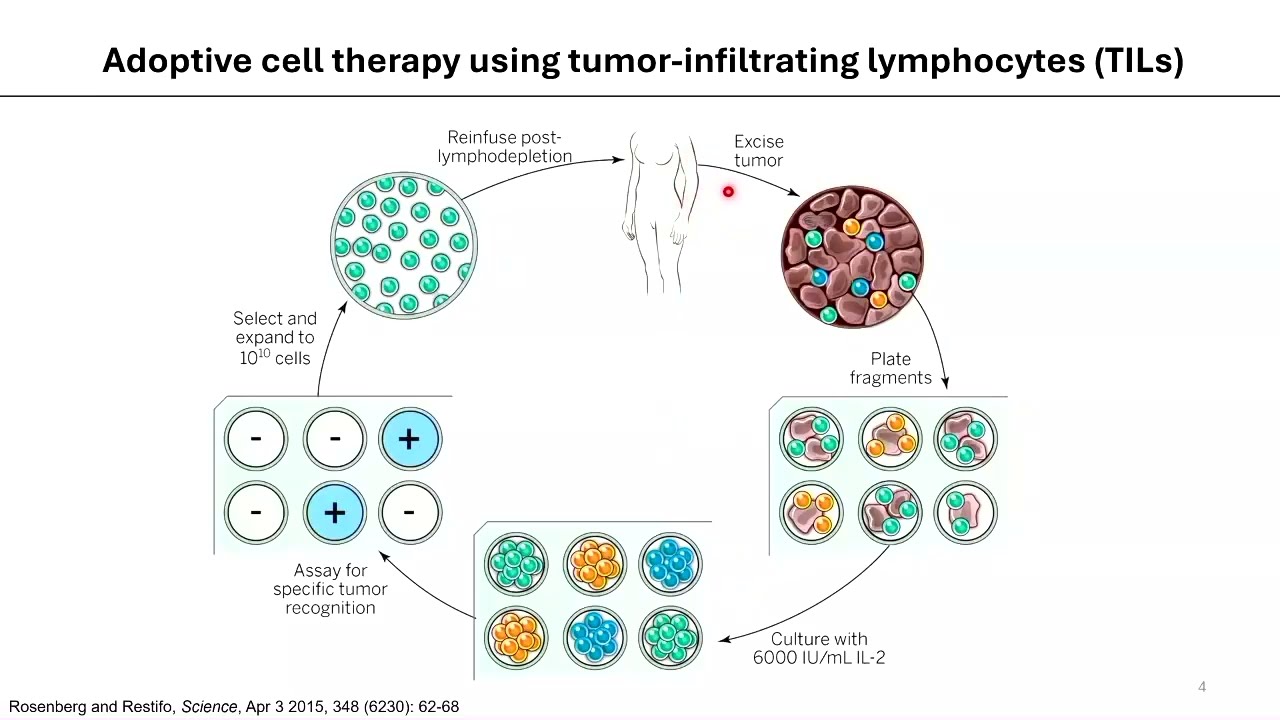 Dr. Eric Tran's presentation on TILs and cell therapy for cholangiocarcinoma