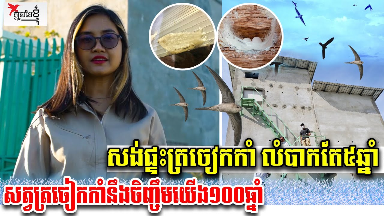 សង់ផ្ទះត្រចៀកកាំ លំបាកតែ៥ឆ្នាំ សត្វត្រចៀកកាំនឹងចិញ្ចឹមយើងវិញ១០០ឆ្នាំ | កម្មវិធីក្ដីស្រមៃខ្ញុំ