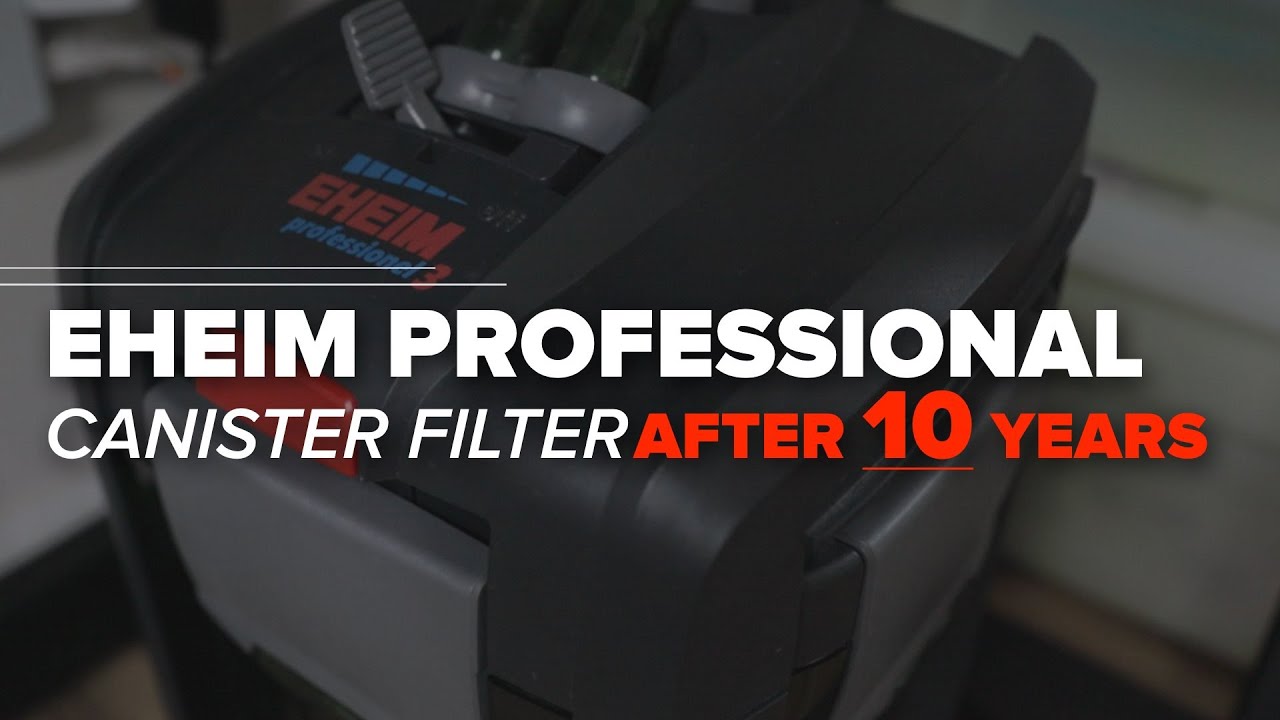 10 Year Update & Maintenance Eheim Canister Filters | Eheim Professional Aquarium Filters