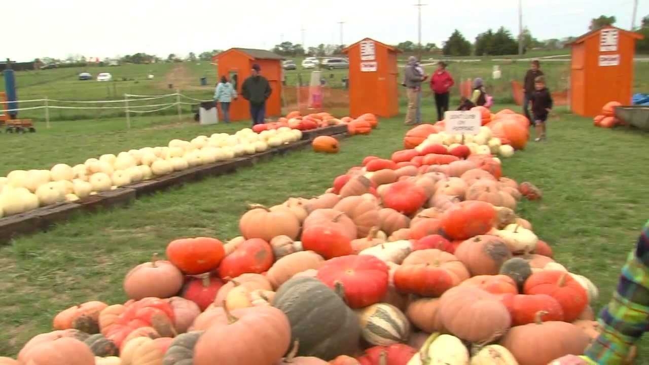 KC Pumpkin Patch