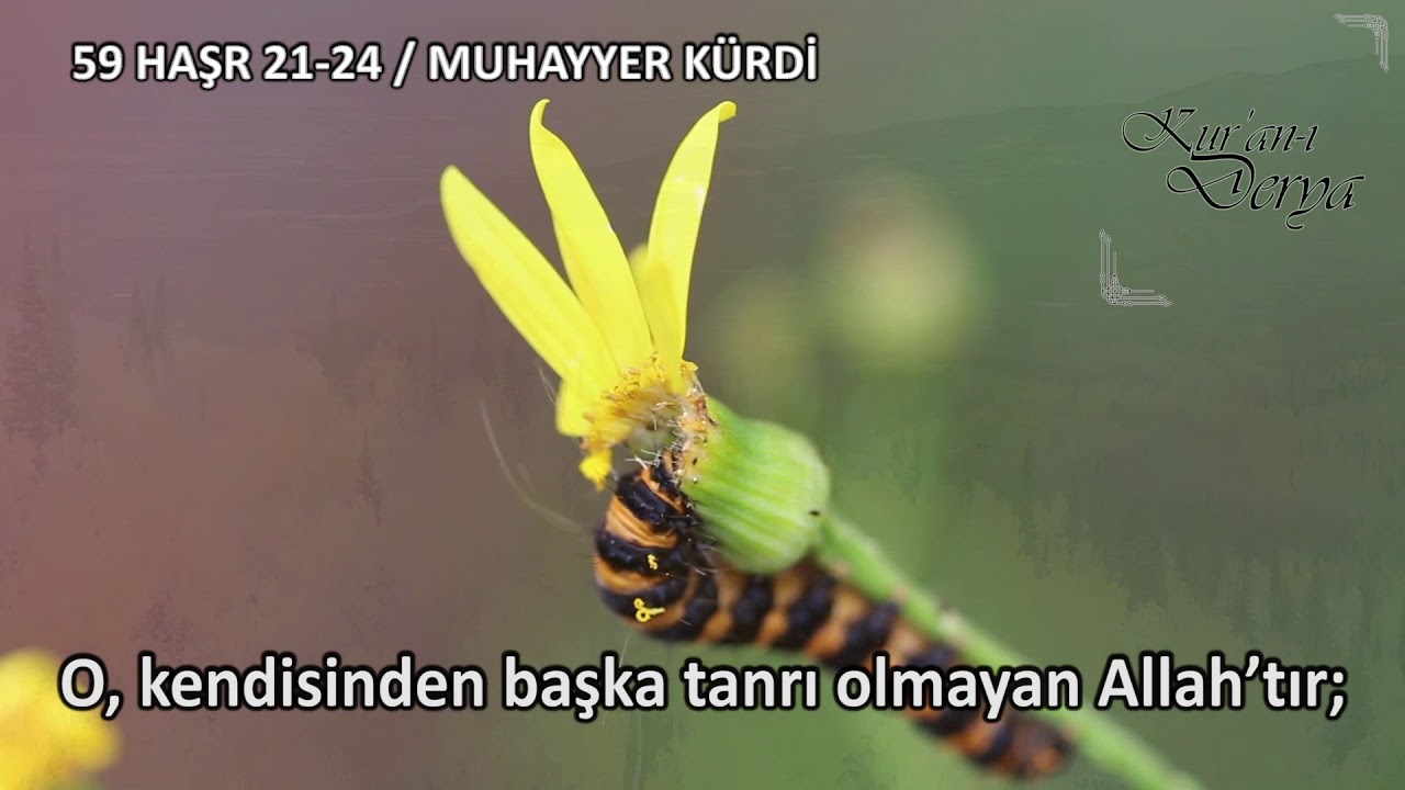 59 Haşr 21-24 Muhayyer Kürdi ( Levenzelna Huvallahullezi ) - Kuranı Derya