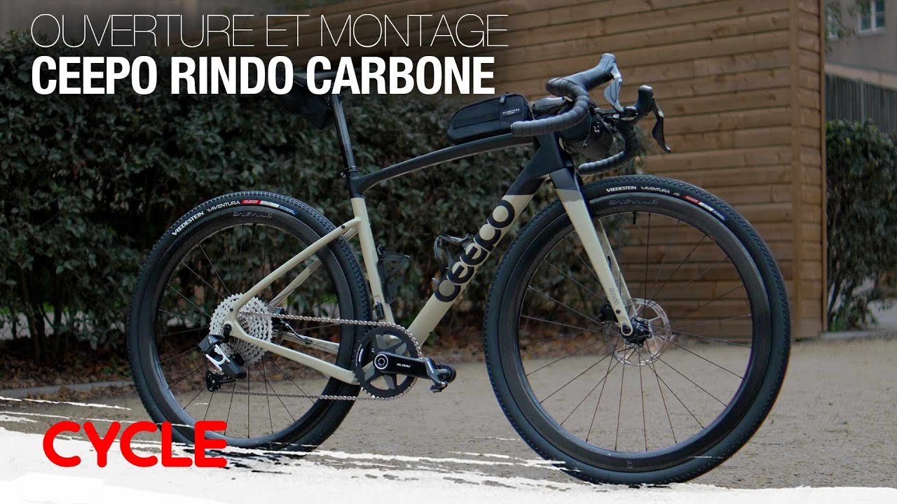 Montage du nouveau groupe Rotor Uno électronique sur le Ceepo Rindo carbone