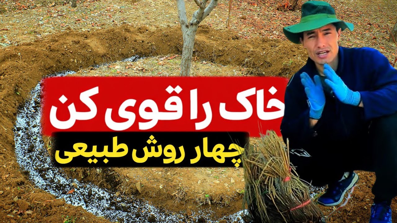 زمین مرده را با این روش حاصلخیز کن | چکار کنیم تا زمین خوب حاصل دهد؟ 