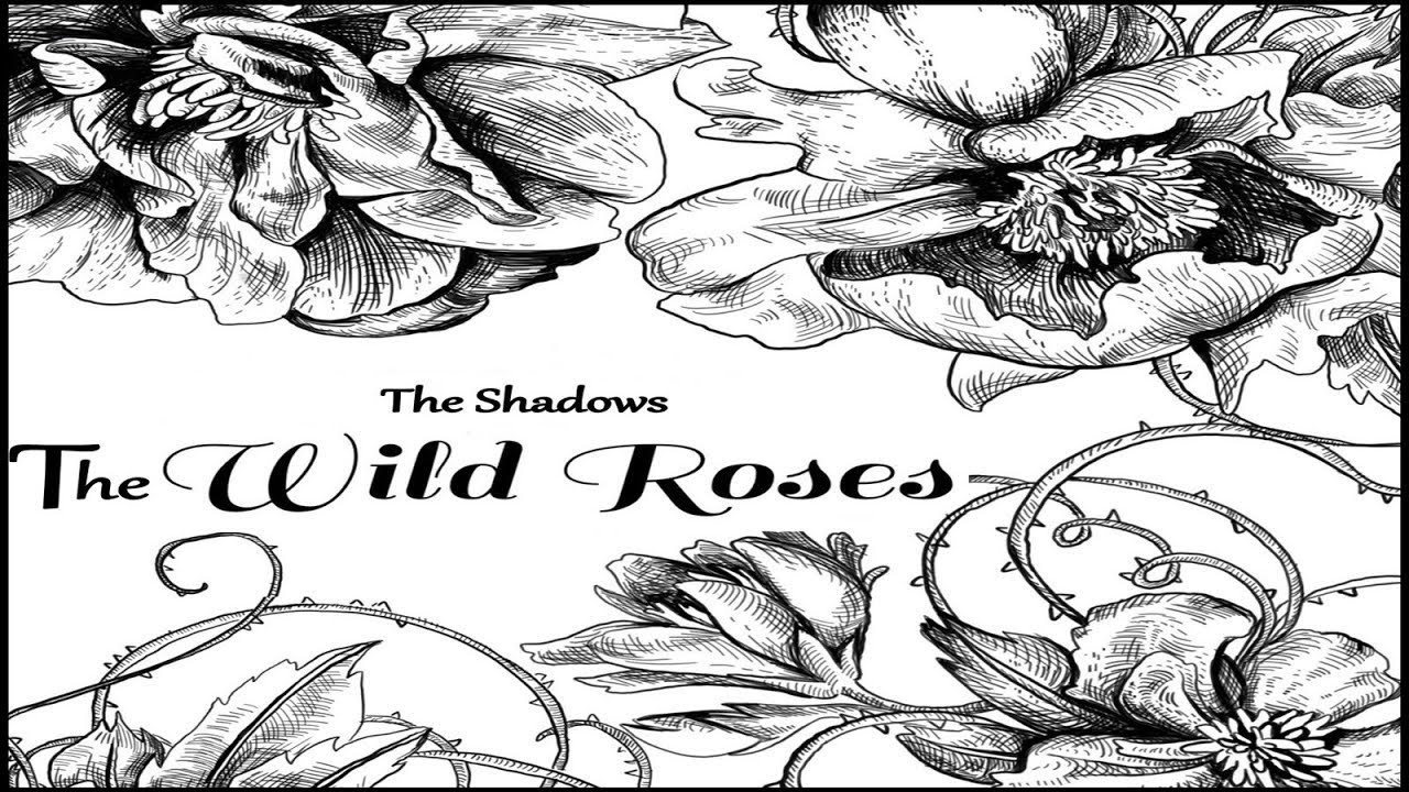 The Shadows - The wild roses by Slamo1950