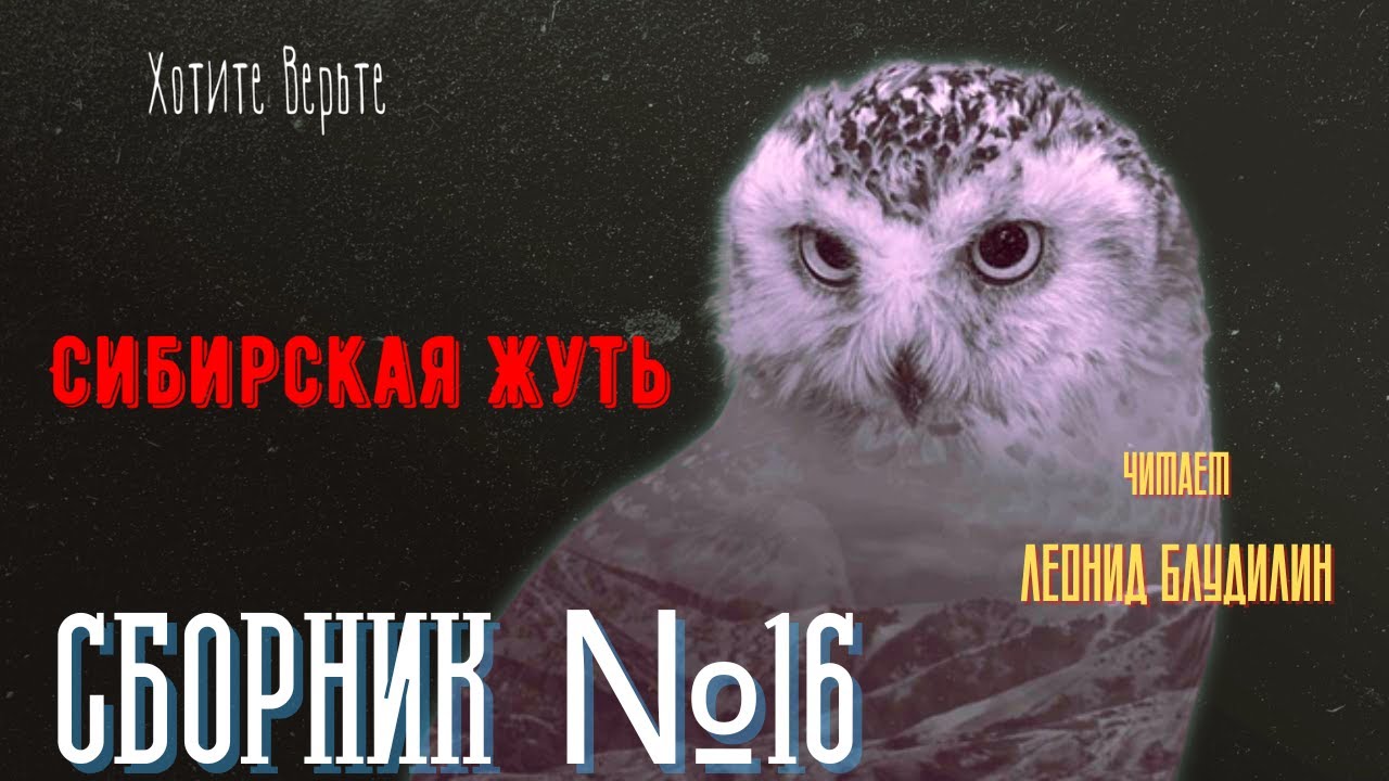 Сибирская Жуть: Сборник №16.