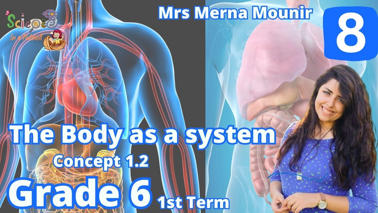 Science-Grade 6-unit 1-concept 2- Video 8