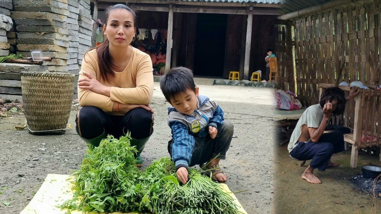 Single mom: Picking wild beans to sell -The forest man sneaked into the house looking for food