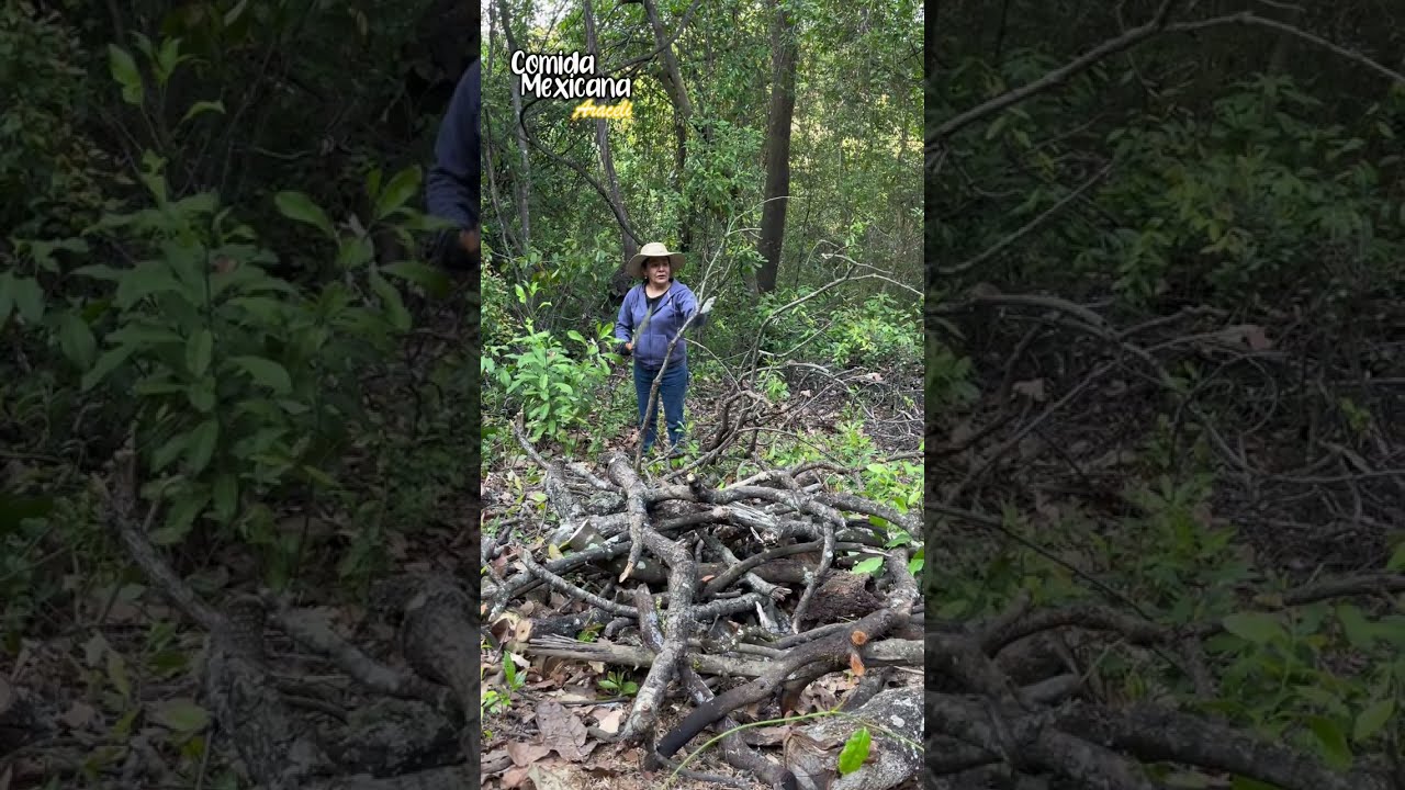 Fuimos al Cerro y Miren Nada Más lo Que Encontramos