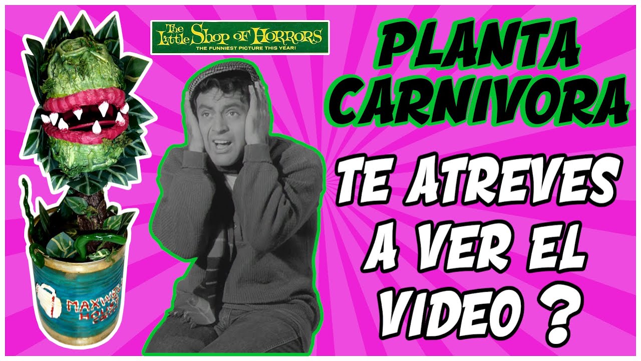 COMO HACER UNA PLANTA CARNIVORA | Tutorial paso a paso | Manulidades para hacer en casa |