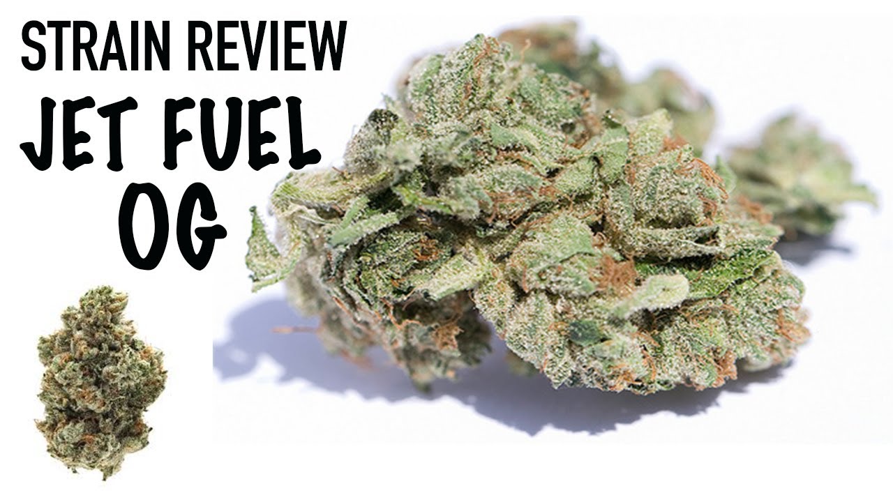JET FUEL OG KUSH STRAIN REVIEW