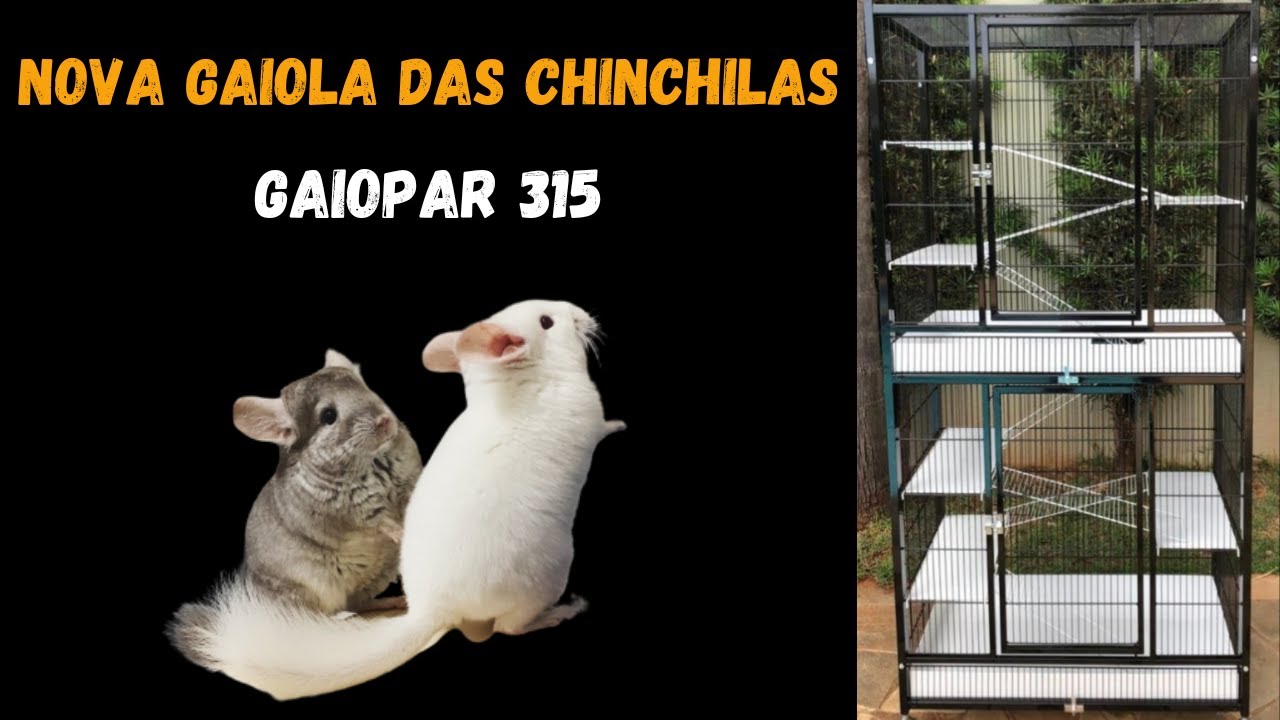 Chegou a NOVA GAIOLA DA GAIOPAR para as minhas CHINCHILAS!