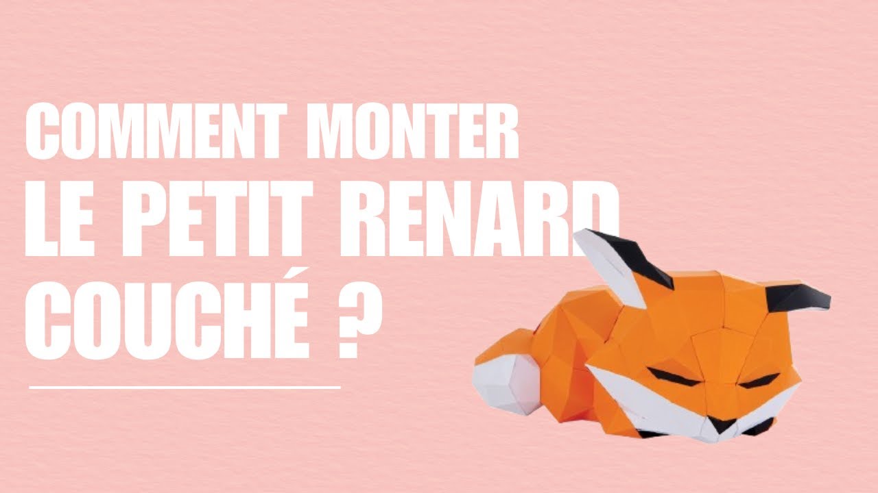 Montage du petit renard couché