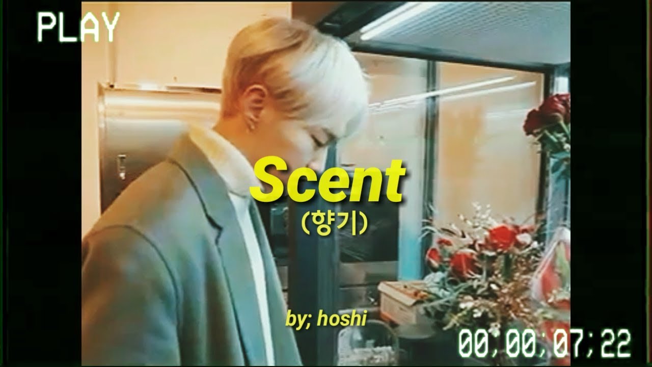 [FMV] Hoshi🐯 - ||향기 'Scent🥀