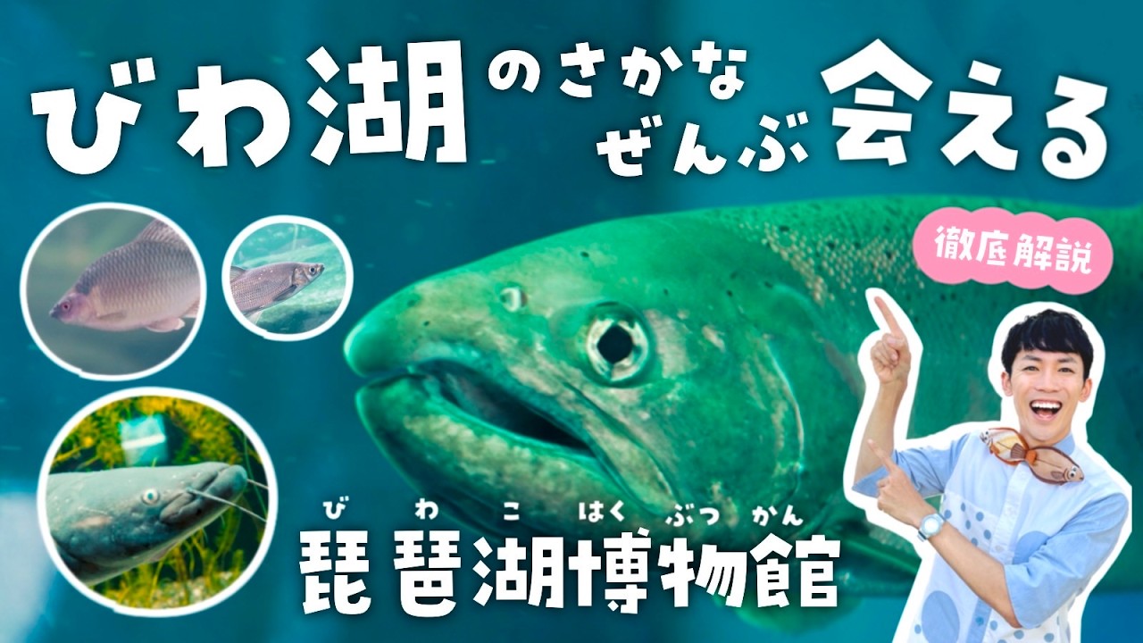 行く前に見て！琵琶湖博物館が100倍楽しめる水族館クイズツアー