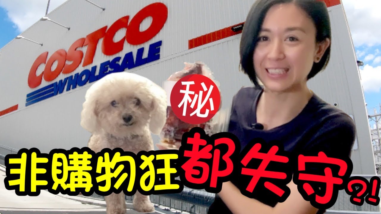 全紐西蘭唯一Costco😏 真係咁抵? 好多華人嘢食! (CHI ENG SUB) Vlog10