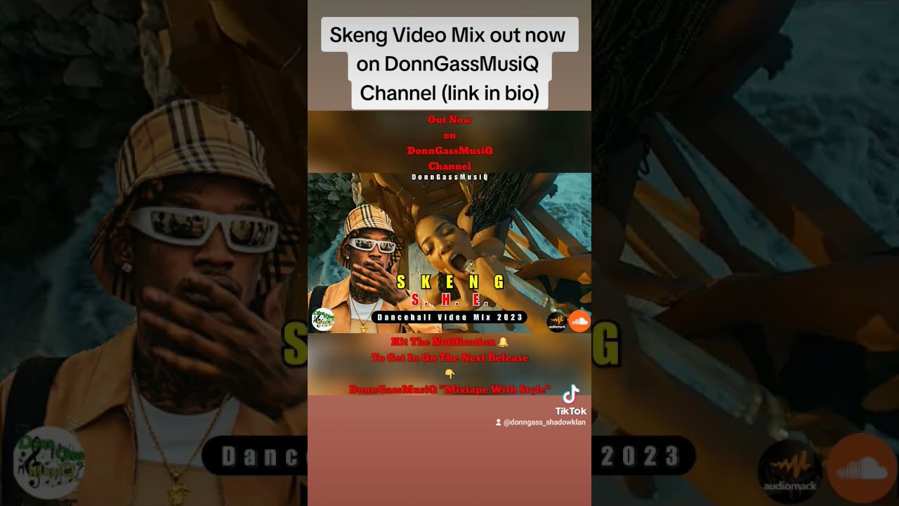 Skeng - She Video Mix