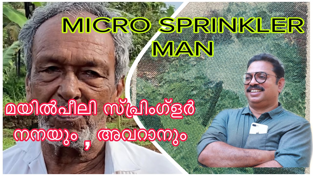MICRO SPRINKLER  MAN മയിൽ‌പീലി സ്പ്രിങ്ക്ലെർ