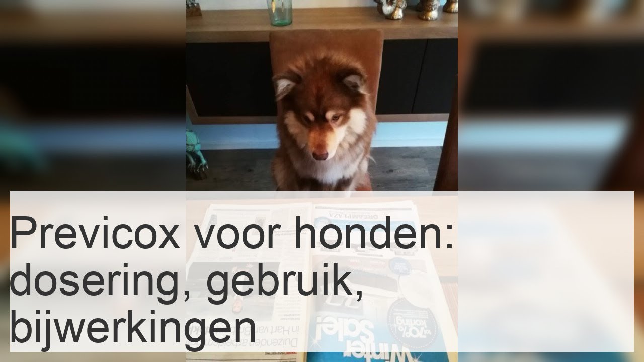 Previcox voor honden - Dosering, gebruik en bijwerkingen