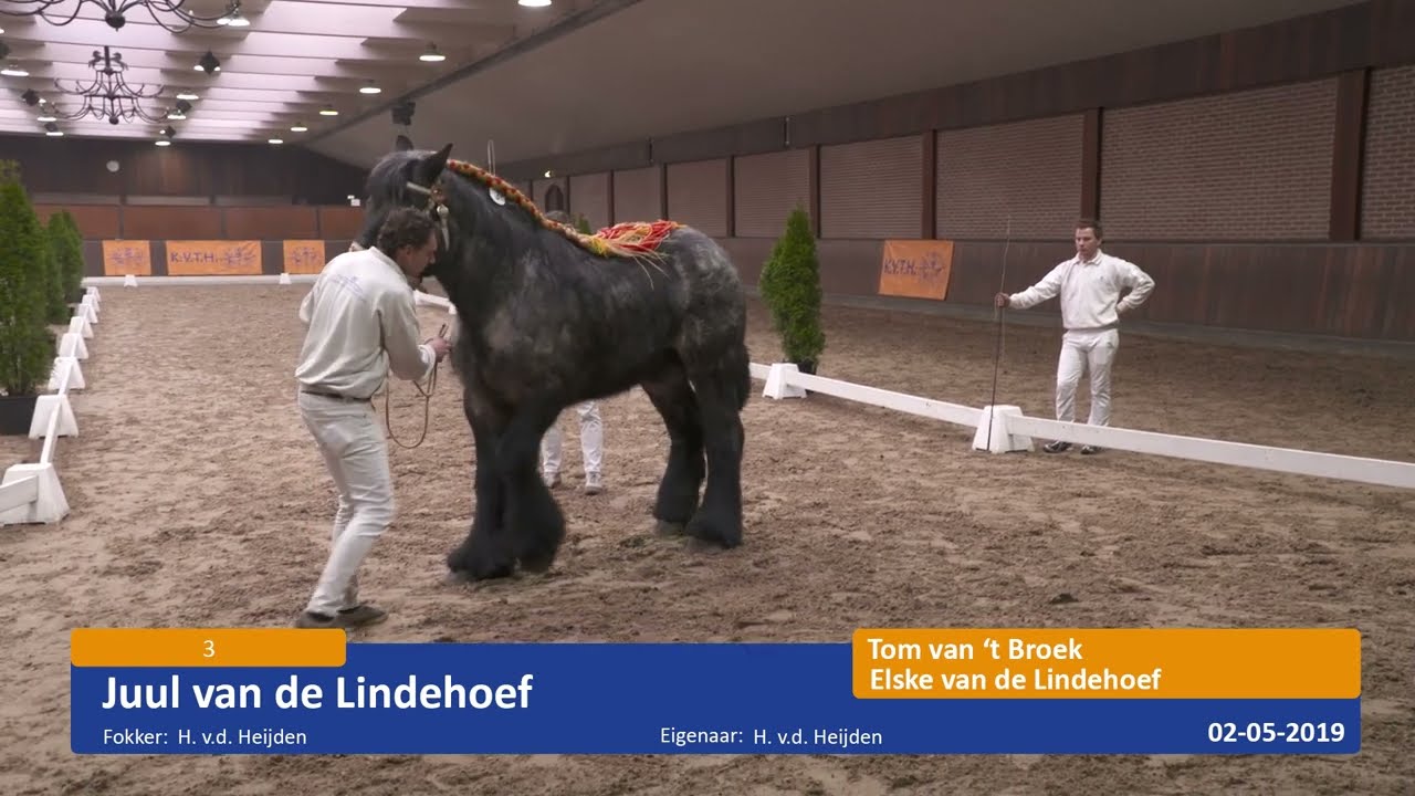 Verkorte livestream KVTH HK TP 2022
