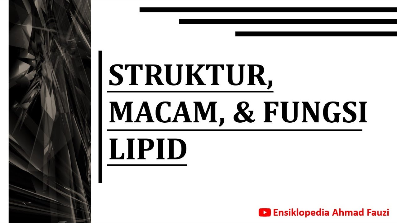 Struktur, Macam, dan Fungsi Lipid
