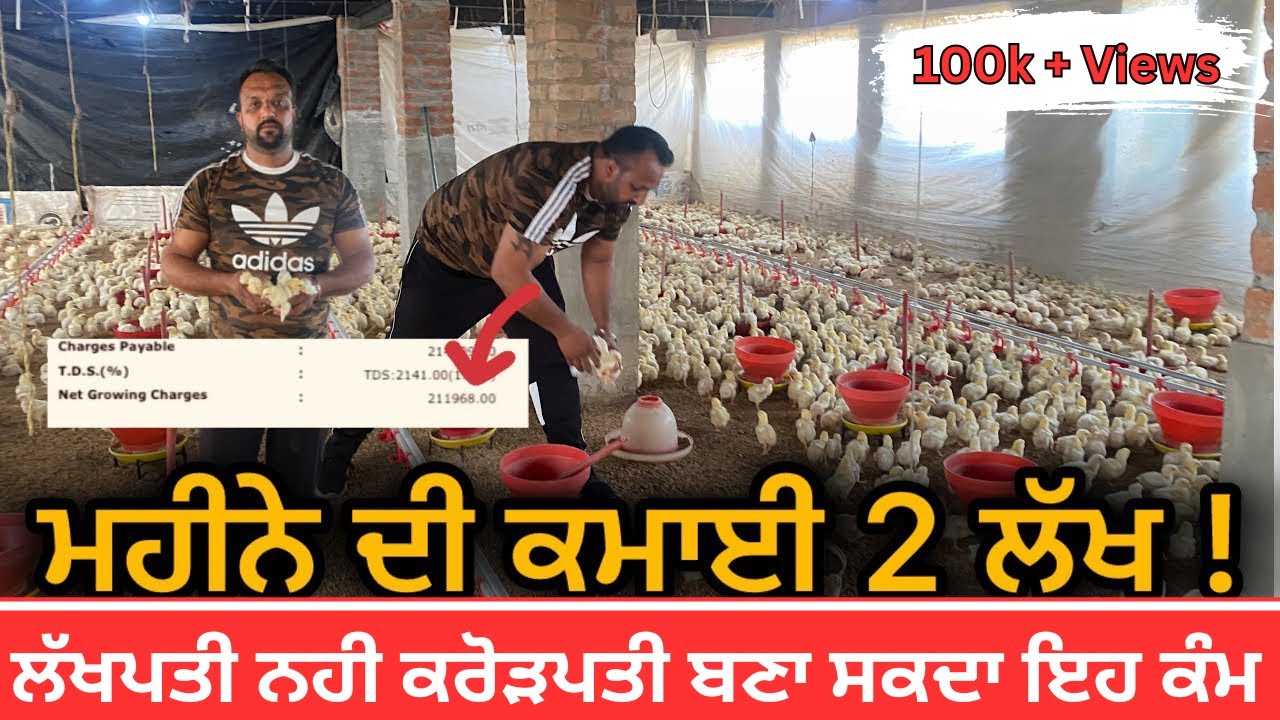 ਵਿਦੇਸ਼ ਨੂੰ ਮਾਰੀ ਠੋਕਰ ਤੇ ਖ਼ੋਲ ਲਿਆ poultry Farm ਲੱਖਾ ਵਿੱਚ ਪਹੁੰਚੀ ਮਹੀਨੇ ਦੀ ਕਮਾਈ poultry farm in Punjab
