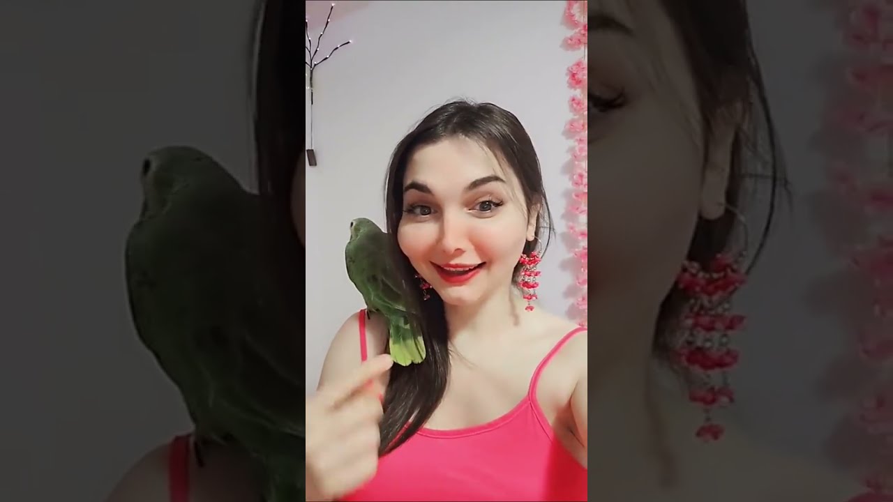 مـلـك الـصـواف سـنـاب [ 30 ]